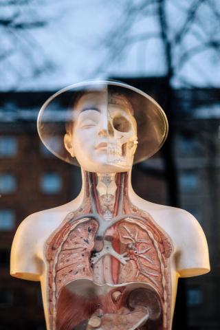 Can I Discharge My Medical Debt Through Bankruptcy?